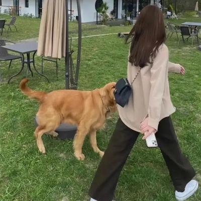 牢狱大暴动
